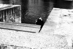 Elbe-1-of-1-scaled