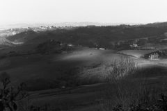 Urbino-1-of-1-scaled