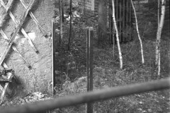 SWSFB_2023-10-of-12
