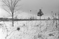 SWSFB_2023-2-of-12