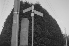 SWSFB_2023-4-of-12