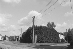 SWSFB_2023-5-of-12