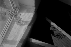 SWSFB_2023-6-of-12