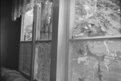 SWSFB_2023-8-of-12