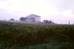 france_bike-1-of-1