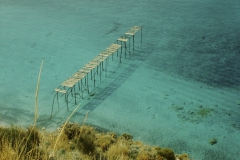 sicily-1-of-1